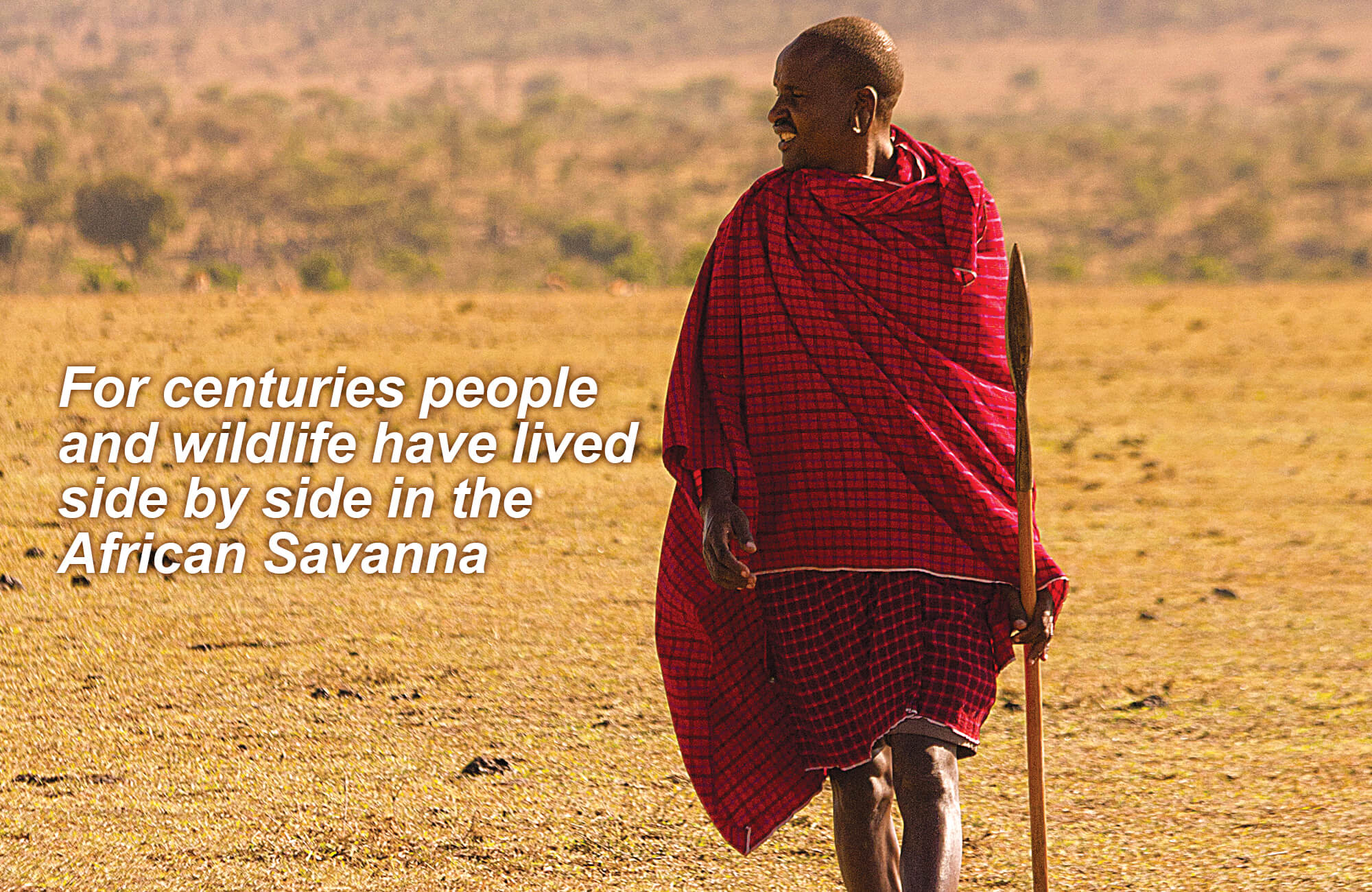 Kenya Wildlife Conservancies Association