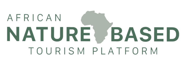 African NBT Logo-transparent