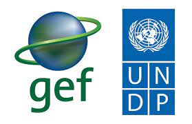 UNDP Gef images