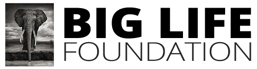 logo-BLF-horizontal-medium-elephant-white-border-03-500x136