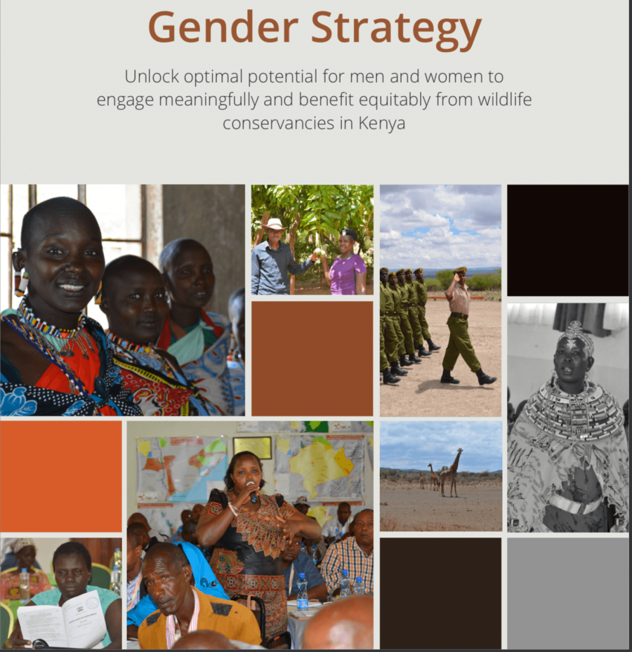 KWCA Gender Strategy